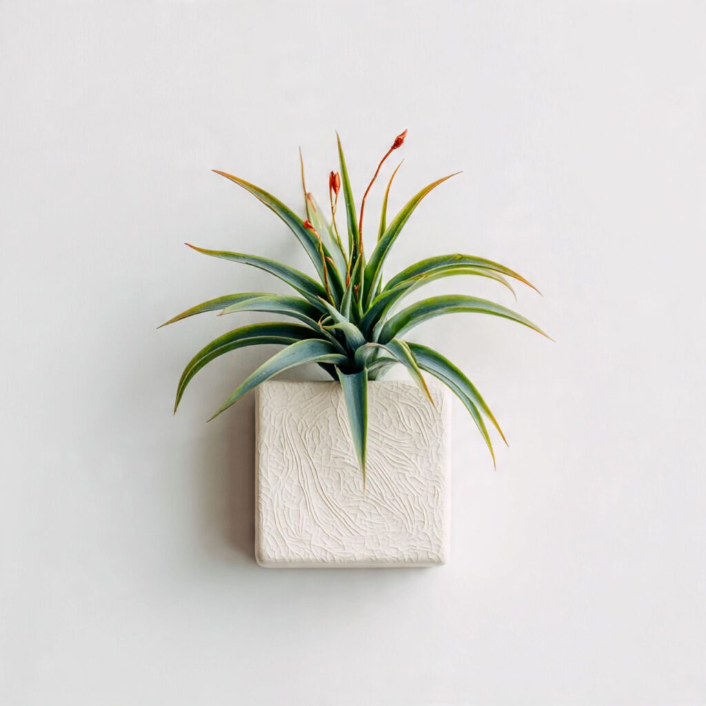 Subtle Decor and a Touch of Greenery